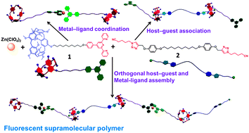 Graphical abstract: Formation of fluorescent supramolecular polymeric assemblies via orthogonal pillar[5]arene-based molecular recognition and metal ion coordination