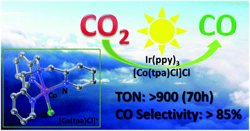 Graphical abstract: A robust and efficient cobalt molecular catalyst for CO2 reduction