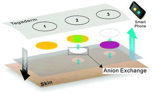 Graphical abstract: A paper-based skin patch for the diagnostic screening of cystic fibrosis