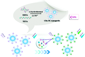 Graphical abstract: A ratiometric fluorescent nanoprobe based on terbium functionalized carbon dots for highly sensitive detection of an anthrax biomarker