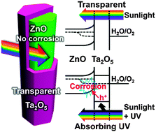 Graphical abstract: Transparent ALD-grown Ta2O5 protective layer for highly stable ZnO photoelectrode in solar water splitting