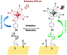 Graphical abstract: Reversible redox modulation of a lanthanide emissive molecular film