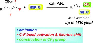 Graphical abstract: Palladium-catalyzed amination of 2,3,3-trifluoroallyl esters: synthesis of trifluoromethylenamines via an intramolecular fluorine shift and CF3 group construction