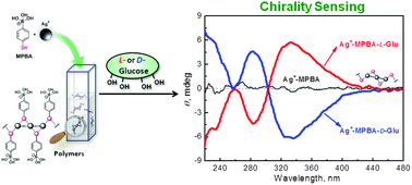 Graphical abstract: Chirality sensing using Ag+–thiol coordination polymers