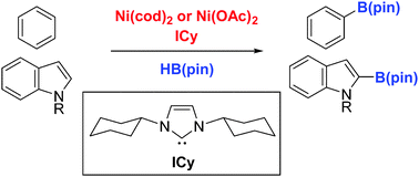 Graphical abstract: Nickel-catalyzed borylation of arenes and indoles via C–H bond cleavage