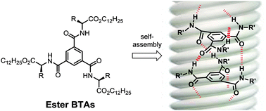 Graphical abstract: Revisiting the assembly of amino ester-based benzene-1,3,5-tricarboxamides: chiral rods in solution