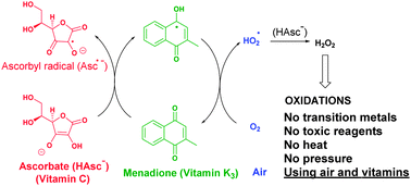 Graphical abstract: Oxidation with air by ascorbate-driven quinone redox cycling