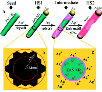 Graphical abstract: Heterostructure of AuAg nanoparticles tipping on Ag2S quantum tubes
