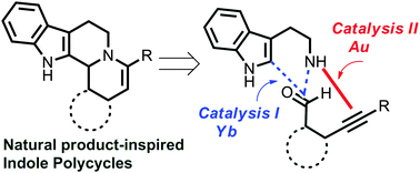 Graphical abstract: A general catalytic reaction sequence to access alkaloid-inspired indole polycycles