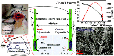 Graphical abstract: Implantable nonenzymatic glucose/O2 micro film fuel cells assembled with hierarchical AuZn electrodes