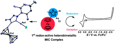 Graphical abstract: Heterobimetallic complexes with redox-active mesoionic carbenes as metalloligands: electrochemical properties, electronic structures and catalysis
