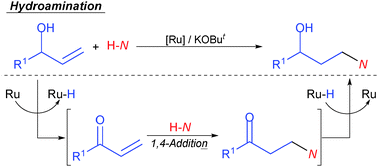 Graphical abstract: A formal anti-Markovnikov hydroamination of allylic alcohols via tandem oxidation/1,4-conjugate addition/1,2-reduction using a Ru catalyst