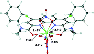 Graphical abstract: N,N′-Dialkyl-N,N′-diaryl-1,10-phenanthroline-2,9-dicarboxamides as donor ligands for separation of rare earth elements with a high and unusual selectivity. DFT computational and experimental studies