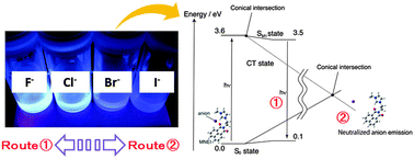 Graphical abstract: A novel 1,8-naphthalimide derivative with an open space for an anion: unique fluorescence behaviour depending on the binding anion's electrophilic properties