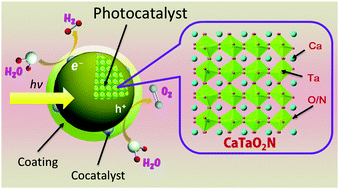 Graphical abstract: Photocatalytic overall water splitting on the perovskite-type transition metal oxynitride CaTaO2N under visible light irradiation