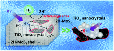 Graphical abstract: Efficient charge separation on 3D architectures of TiO2 mesocrystals packed with a chemically exfoliated MoS2 shell in synergetic hydrogen evolution