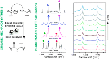 Graphical abstract: Mechanochemical reactions studied by in situ Raman spectroscopy: base catalysis in liquid-assisted grinding