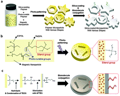 Graphical abstract: Shape-encoded silica microparticles for multiplexed bioassays