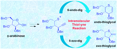 Graphical abstract: Intramolecular thiol–yne cyclisation as a novel strategy for thioglycal synthesis