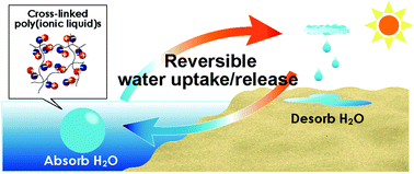 Graphical abstract: Reversible water uptake/release by thermoresponsive polyelectrolyte hydrogels derived from ionic liquids