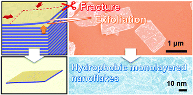 Graphical abstract: Hydrophobic monolayered nanoflakes of tungsten oxide: coupled exfoliation and fracture in a nonpolar organic medium