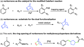 Graphical abstract: Palladium-catalyzed ring opening of norbornene: efficient synthesis of methylenecyclopentane derivatives