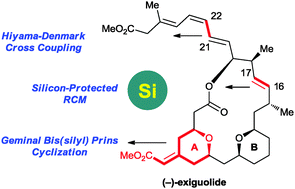 Graphical abstract: Total synthesis of (−)-exiguolide via an organosilane-based strategy