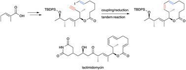 Graphical abstract: A concise formal total synthesis of lactimidomycin