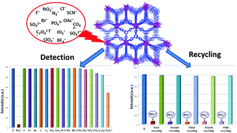 Graphical abstract: A water-stable lanthanide-organic framework as a recyclable luminescent probe for detecting pollutant phosphorus anions