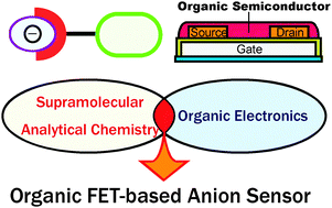 Graphical abstract: An anion sensor based on an organic field effect transistor