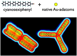 Graphical abstract: Tuning the formation of discrete coordination nanostructures