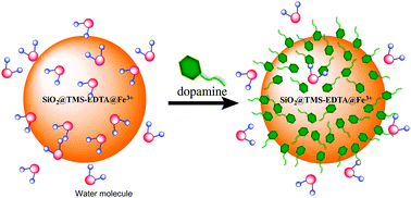 Graphical abstract: Paramagnetic relaxation based biosensor for selective dopamine detection