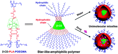 Graphical abstract: Unimolecular micelles of amphiphilic cyclodextrin-core star-like block copolymers for anticancer drug delivery
