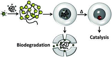 Graphical abstract: Biodegradable hollow silica nanospheres containing gold nanoparticle arrays