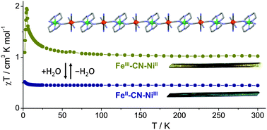 Graphical abstract: Hydration-switchable charge transfer in the first bimetallic assembly based on the [Ni(cyclam)]3+ – magnetic CN-bridged chain {(H3O)[NiIII(cyclam)][FeII(CN)6]·5H2O}n