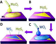 Graphical abstract: Two step growth phenomena of molybdenum disulfide–tungsten disulfide heterostructures