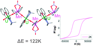 Graphical abstract: A zig-zag uranyl(v)–Mn(ii) single chain magnet with a high relaxation barrier