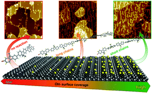 Graphical abstract: On-surface polymerization on a semiconducting oxide: aryl halide coupling controlled by surface hydroxyl groups on rutile TiO2(011)