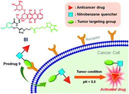 Graphical abstract: Biotin-guided anticancer drug delivery with acidity-triggered drug release