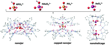 Graphical abstract: Incarceration of one or two phosphate or arsenate species within nanojars, capped nanojars and nanohelicages: helical chirality from two closely-spaced, head-to-head PO43− or AsO43− ions