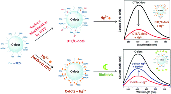 Graphical abstract: Nitrogen-doped, thiol-functionalized carbon dots for ultrasensitive Hg(ii) detection