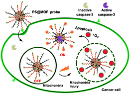 Graphical abstract: A porphyrin photosensitized metal–organic framework for cancer cell apoptosis and caspase responsive theranostics