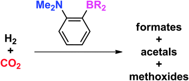 Graphical abstract: Intramolecular B/N frustrated Lewis pairs and the hydrogenation of carbon dioxide