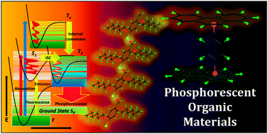 Graphical abstract: Recent advances in purely organic phosphorescent materials