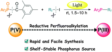 Graphical abstract: Photoinduced reductive perfluoroalkylation of phosphine oxides: synthesis of P-perfluoroalkylated phosphines using TMDPO and perfluoroalkyl iodides