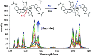 Graphical abstract: Quantitative determination of fluoride in pure water using luminescent europium complexes