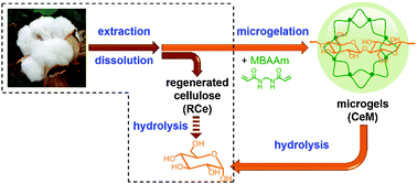 Graphical abstract: Enhanced enzymatic hydrolysis of cellulose in microgels