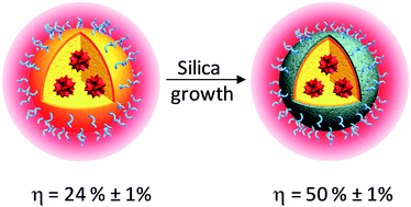 Graphical abstract: Silica shelled and block copolymer encapsulated red-emissive AIE nanoparticles with 50% quantum yield for two-photon excited vascular imaging