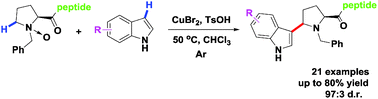 Graphical abstract: Site-specific indolation of proline-based peptides via copper(ii)-catalyzed oxidative coupling of tertiary amine N-oxides