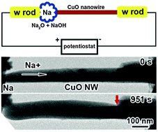 Graphical abstract: In situ observation of the sodiation process in CuO nanowires